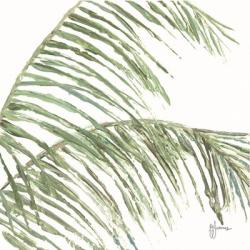 Two Palm Fronds I | Obraz na stenu