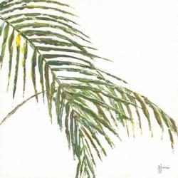 Two Palm Fronds II | Obraz na stenu