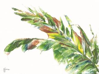 Palm Leaves Vivid | Obraz na stenu