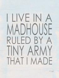 I Live in a Madhouse | Obraz na stenu