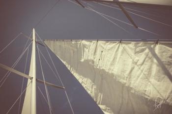 Sailing a Line | Obraz na stenu