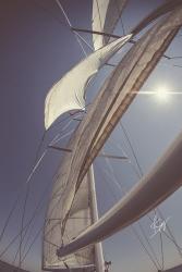 Clear Sailing | Obraz na stenu