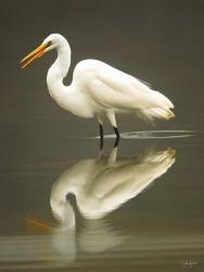 Reflection | Obraz na stenu