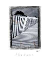 Shadows | Obraz na stenu