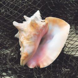 Conch with Net | Obraz na stenu