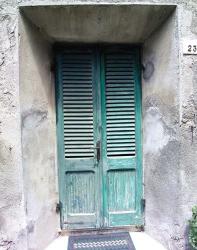 Green Door | Obraz na stenu