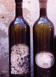 Fine Wine VI | Obraz na stenu