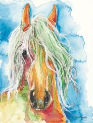 Water Horse | Obraz na stenu