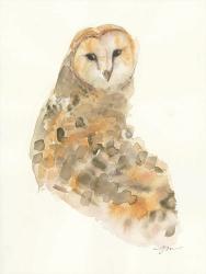 Barn Owl | Obraz na stenu