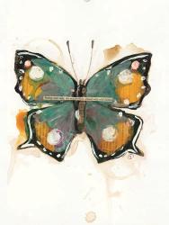 Collage Butterfly | Obraz na stenu