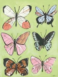 Butterfly Beauty | Obraz na stenu