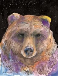 Galaxy Bear | Obraz na stenu