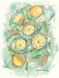 Make Lemonade | Obraz na stenu