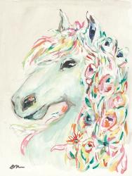 Pony Rose | Obraz na stenu