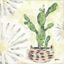 Bono Cactus | Obraz na stenu