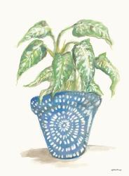 House Plant | Obraz na stenu