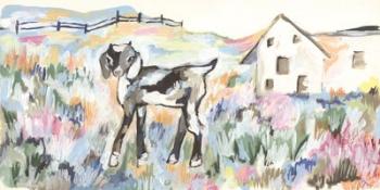 Daisy the Goat | Obraz na stenu