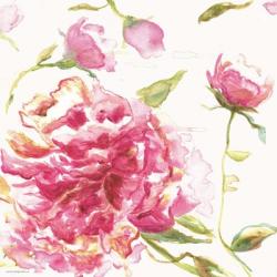 English Rose | Obraz na stenu