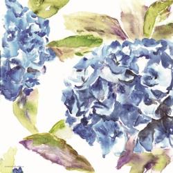 Hydrangea | Obraz na stenu