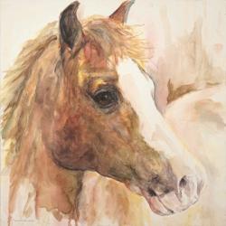 Watercolor Horse | Obraz na stenu