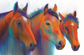 Painted Ponies | Obraz na stenu
