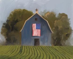 Land of the Free Barn | Obraz na stenu