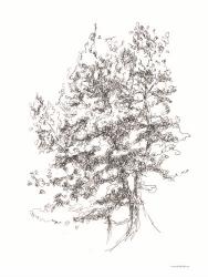 Whispering Pines 2 | Obraz na stenu