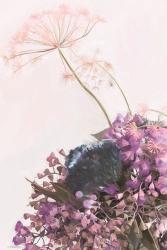 Pink Dandelion | Obraz na stenu