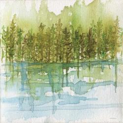 Forest Reflections | Obraz na stenu