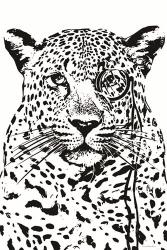 Cheeky Cheetah | Obraz na stenu