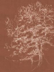 Timber in the Woods | Obraz na stenu