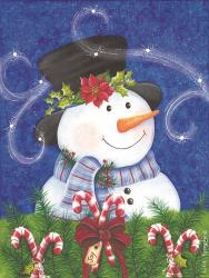 Snowman & Candy Canes | Obraz na stenu