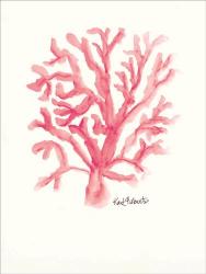 C is for Coral | Obraz na stenu