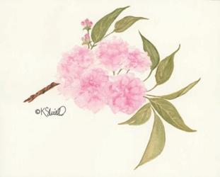 Bashful Blossoms | Obraz na stenu