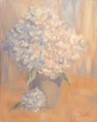 Hydrangeas in the Morning Light | Obraz na stenu