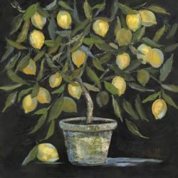 Lemon Tree | Obraz na stenu