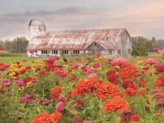 Vermont Flowers | Obraz na stenu