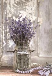 Lavender Bench | Obraz na stenu