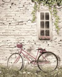 Ready for a Bike Ride | Obraz na stenu