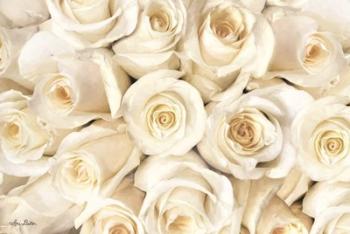Top View - White Roses | Obraz na stenu