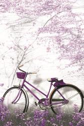 Ultra Violet Bicycle | Obraz na stenu