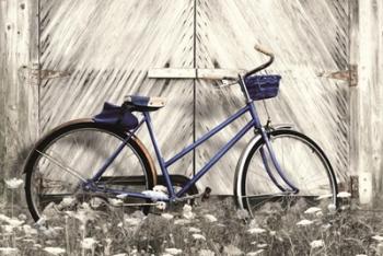 Blue Bike at Barn | Obraz na stenu