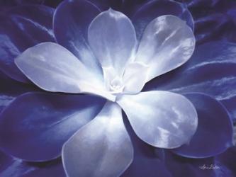 Blue Succulent II | Obraz na stenu