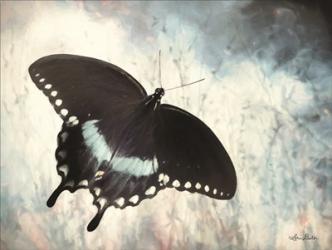 Teal Butterfly I | Obraz na stenu