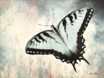 Teal Butterfly II | Obraz na stenu