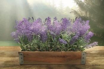 Lavender Planter | Obraz na stenu