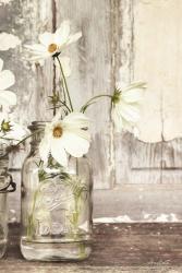 White Blossoms | Obraz na stenu