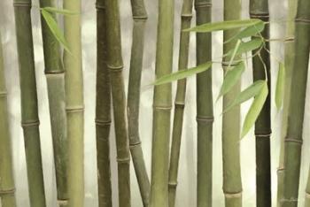 Backlit Bamboo I | Obraz na stenu