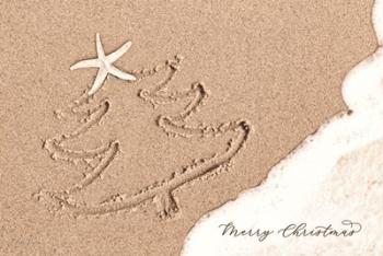 Beach Christmas | Obraz na stenu