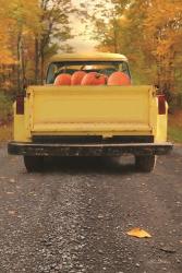 Yellow Pumpkin Hauler | Obraz na stenu